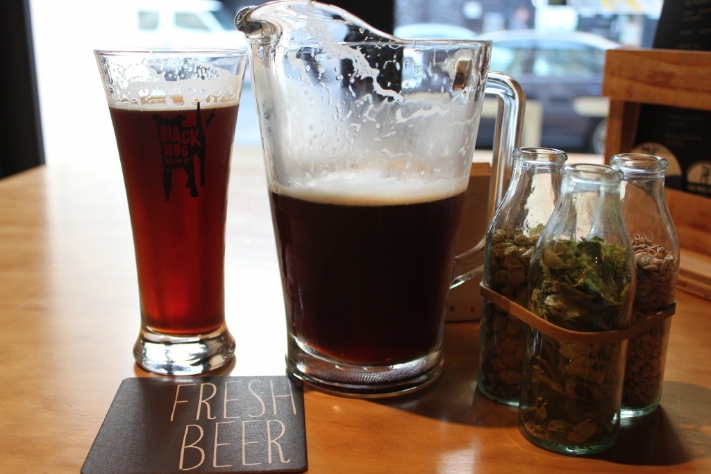 Craft beer in Wellington, New Zealand Jetsetting Fools