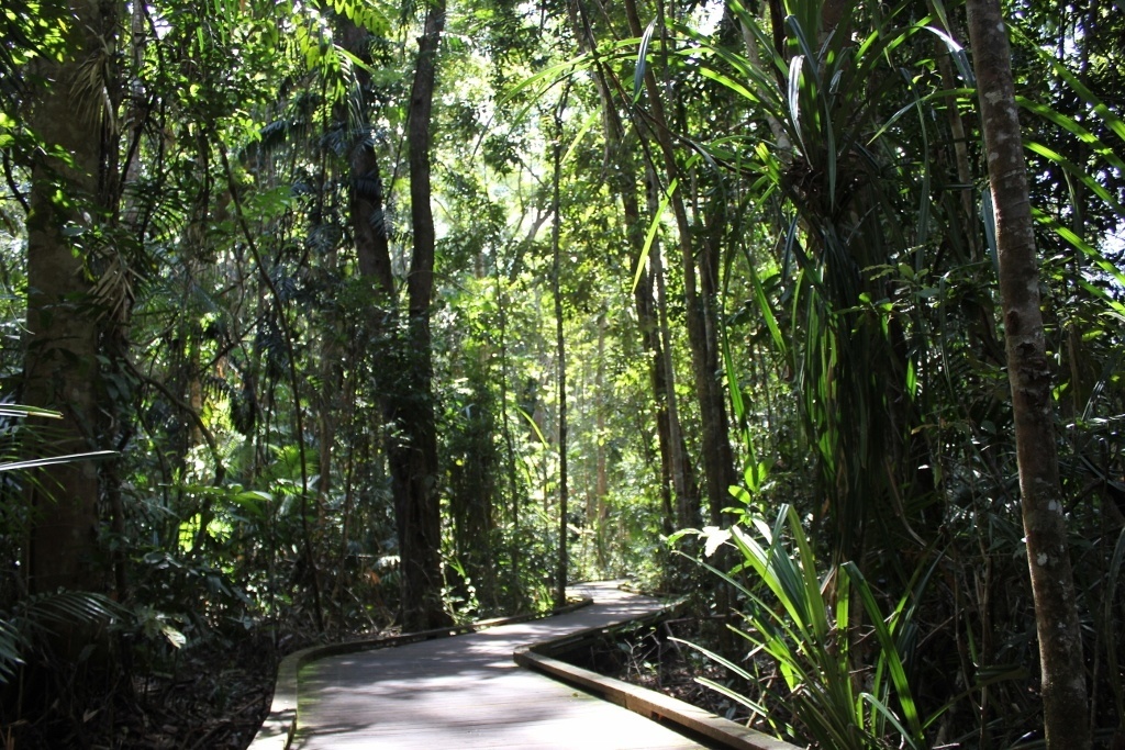 Kuranda: A Village In The Rainforest - Jetsetting Fools