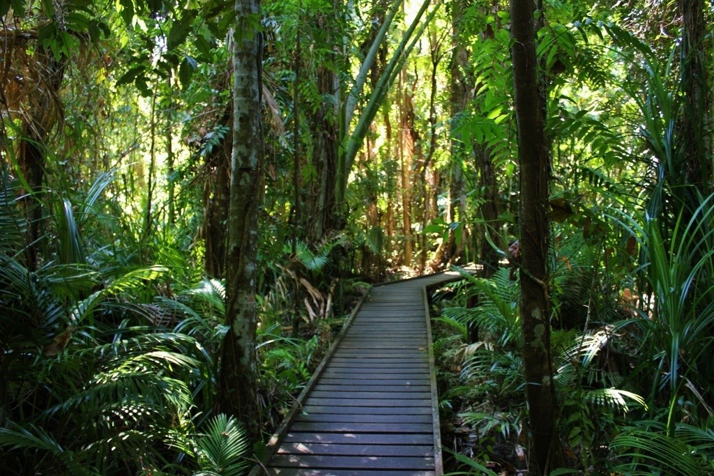 Cairns Botanic Gardens Jetsetting Fools