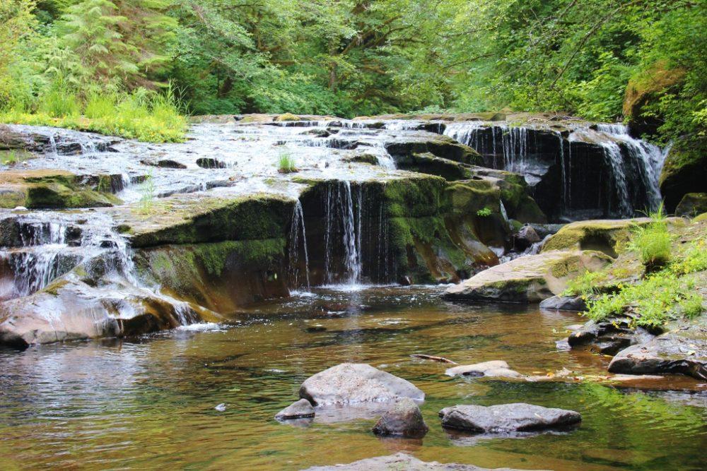 Easy Hikes Near Florence Oregon Jetsetting Fools