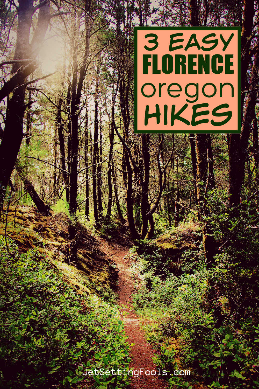 3 Easy Hikes Near Florence Oregon Jetsetting Fools