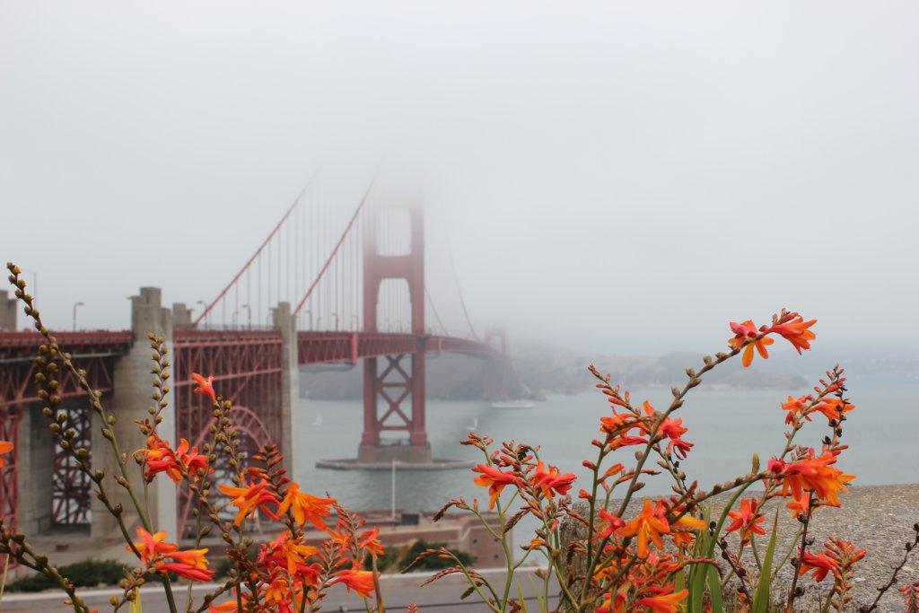 San Francisco Golden Gate Bridge Flowers JetSetting Fools