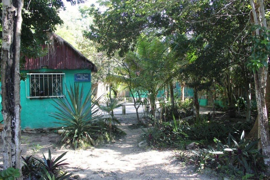 jungle massage cancun