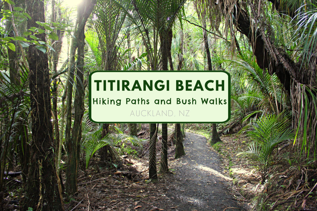 Titirangi Beach Hiking Paths and Bush Walks near Auckland NZ by JetSettingFools.com