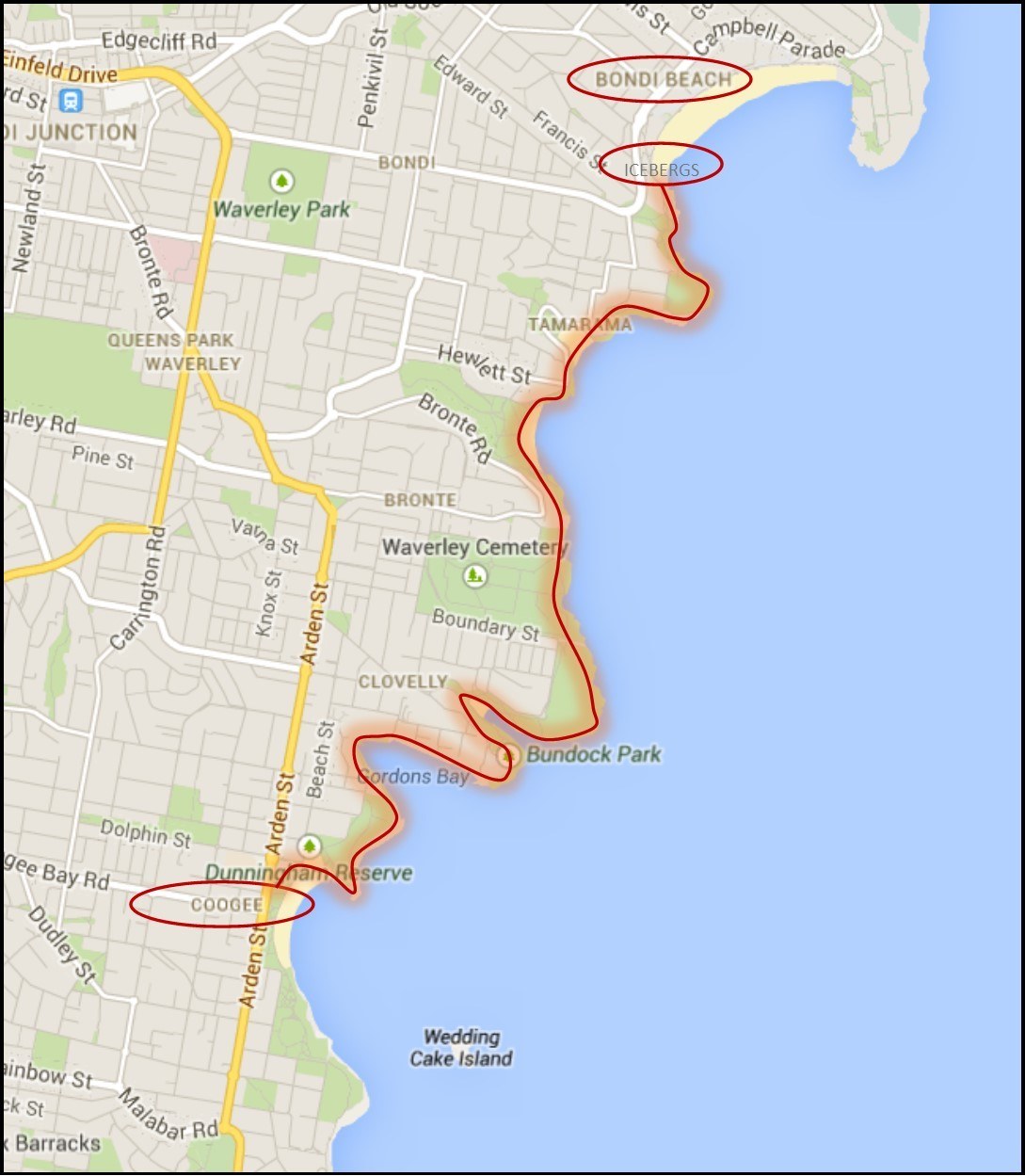 Bondi to Coogee Walk: Everything You Need To Know - Jetsetting Fools