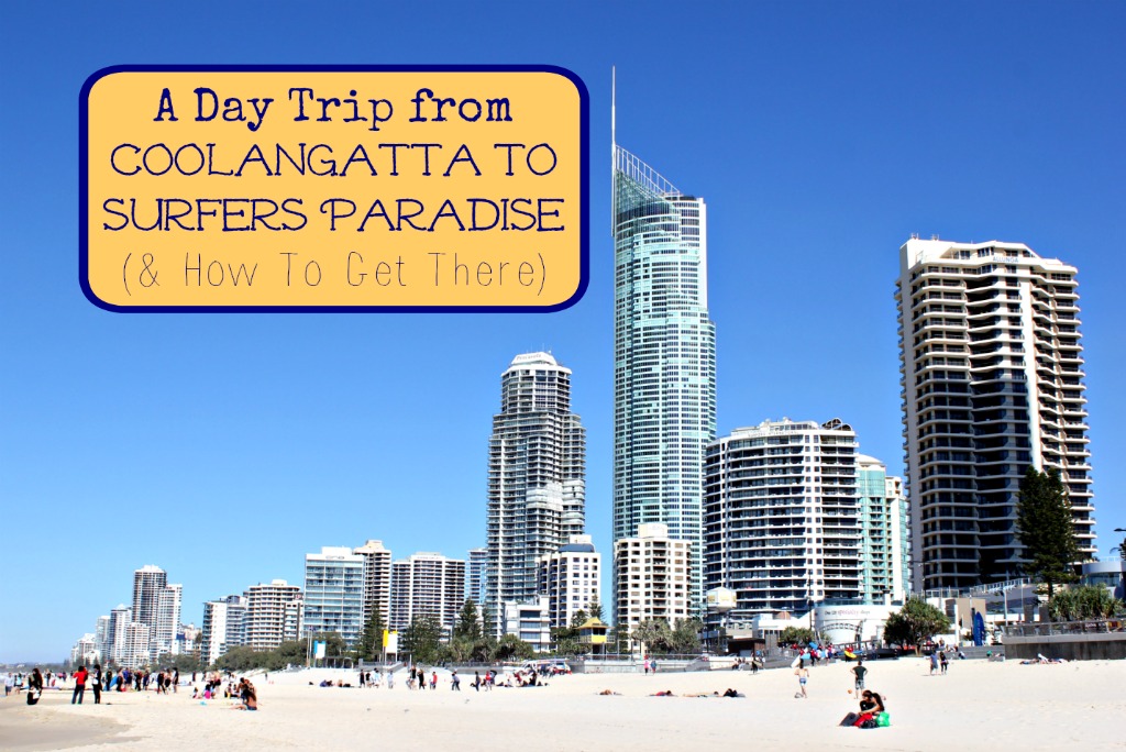 Day Trip from Coolangatta to Surfers Paradise How To Get There by JetSettingFools.com