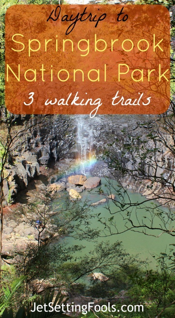 Daytrip to Springbrook National Park 3 walking trails Australia JetSetting Fools