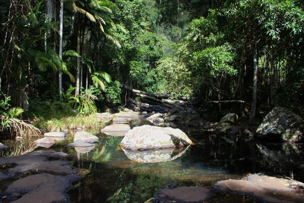 The stream leading into Warringa Pools