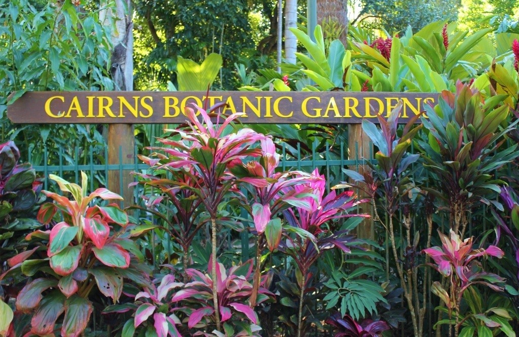 Image Result For Cairns Garden Art
