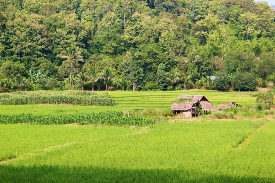 Chiang Mai trekking trip - Jetsetting Fools