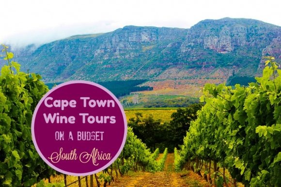 Cape Town Wine Tours on a Budget in South Africa - Jetsetting Fools