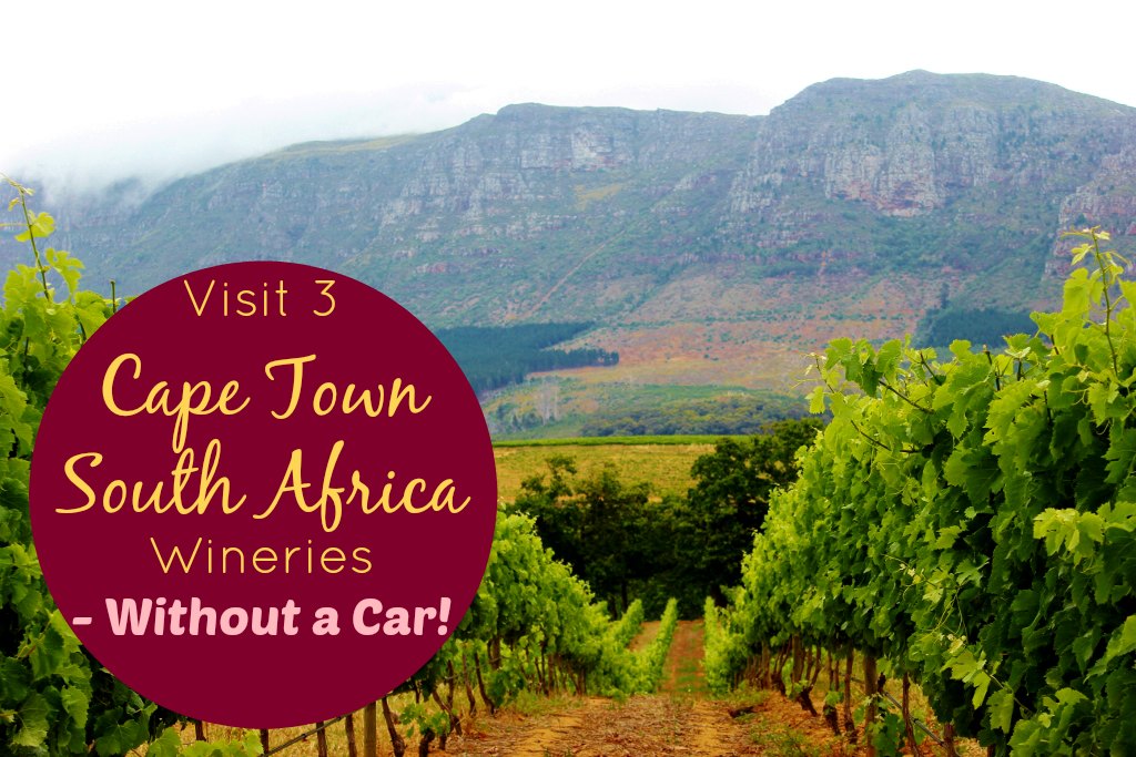 Visit 3 Cape Town wineries without a car (while on a budget ...