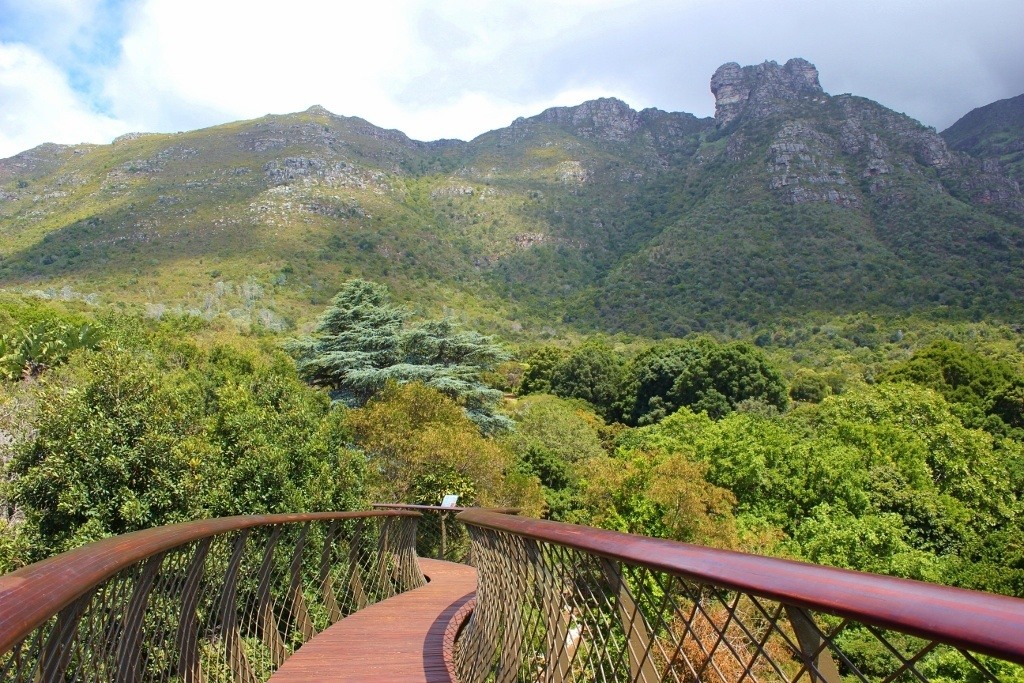 Visiting Kirstenbosch Botanical Garden in Cape Town - Jetsetting Fools