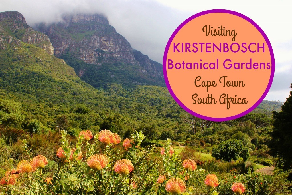 Visiting Kirstenbosch Botanical Garden Cape Town, South Africa by JetSettingFools.com