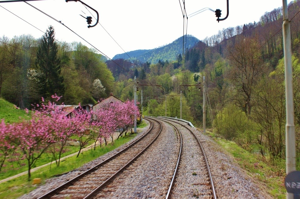 Train to Budapest: Watching the tracks as we traveled from Ljubljana to Budapest.