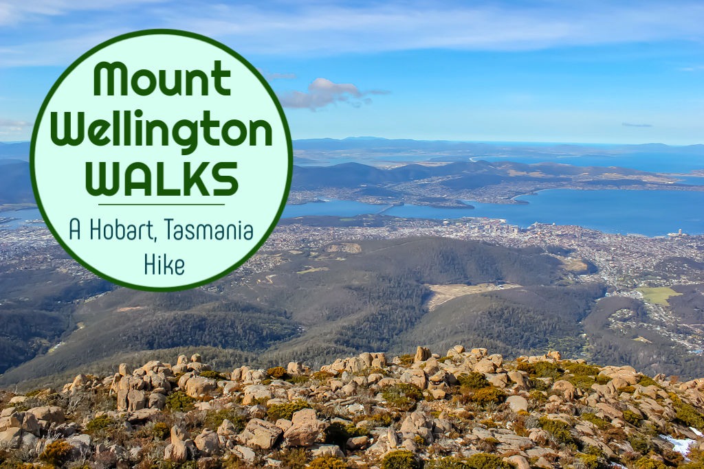 Mount Wellington Walks: A Hobart, Tasmania Hike by JetSettingFools.com
