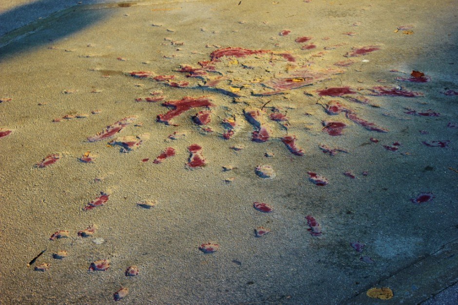 20 years after the Siege of Sarajevo mortar blasts are still visible on sidewalks, but most have been filled with red resin and are called Sarajevo Roses