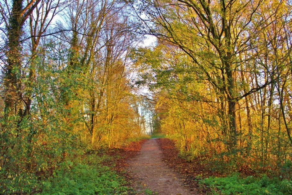 Beek-Ubbergen, Netherlands: Naturally Beautiful - Jetsetting Fools