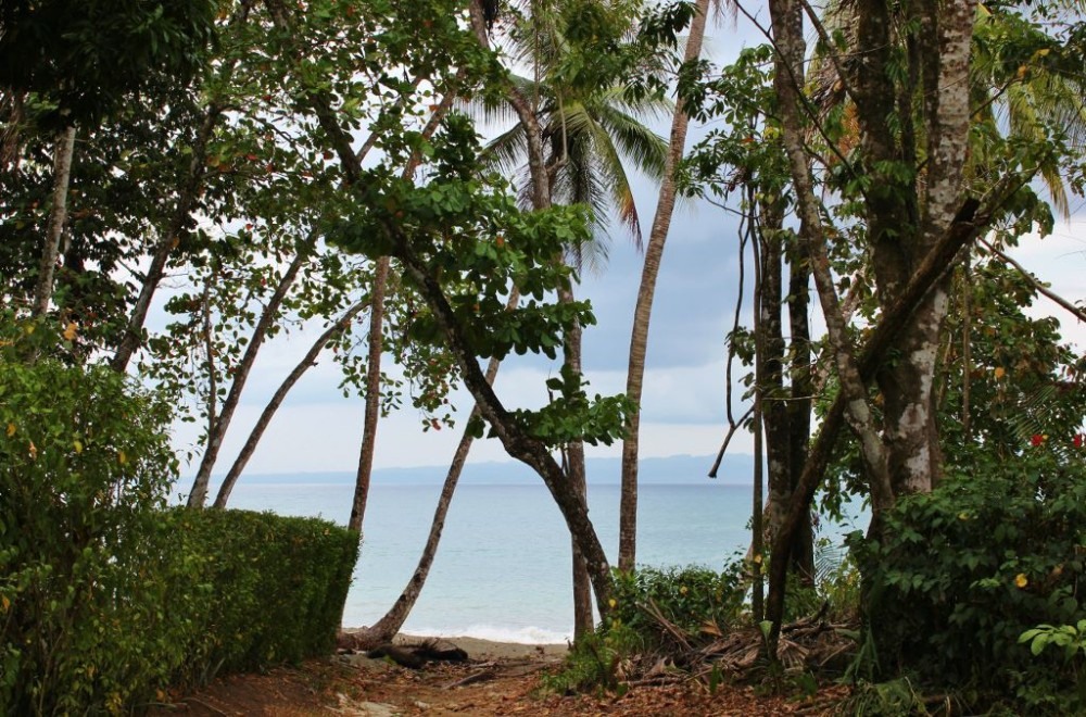 Osa Peninsula Beach