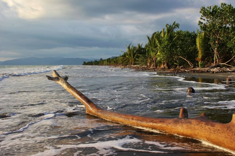 Zancudo, Costa Rica High Tide JetSetting Fools