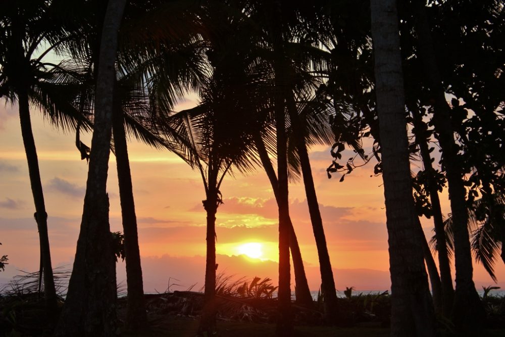 Sunset through the palm trees on Playa Zancudo, Costa Rica