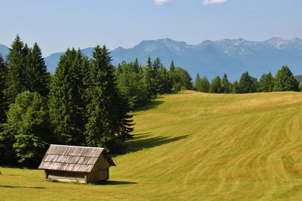 Lake Bohinj Pictures: A Slovenia Photo Essay - Jetsetting Fools