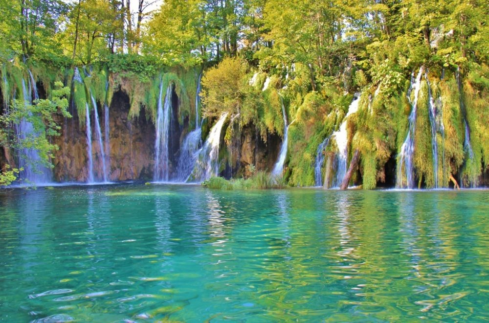 Water World Oasis, Upper Lakes, Plitvice Lakes National Park, Croatia