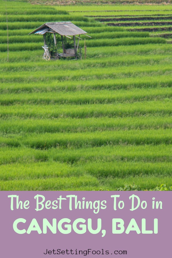 Top Things To Do In Canggu For The Best Bali Experience - Jetsetting Fools