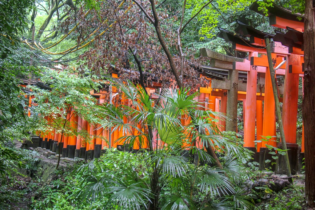 10 Must See Kyoto Temples And Shrines Jetsetting Fools 10 Must See Kyoto Temples And Shrines Jetsetting Fools
