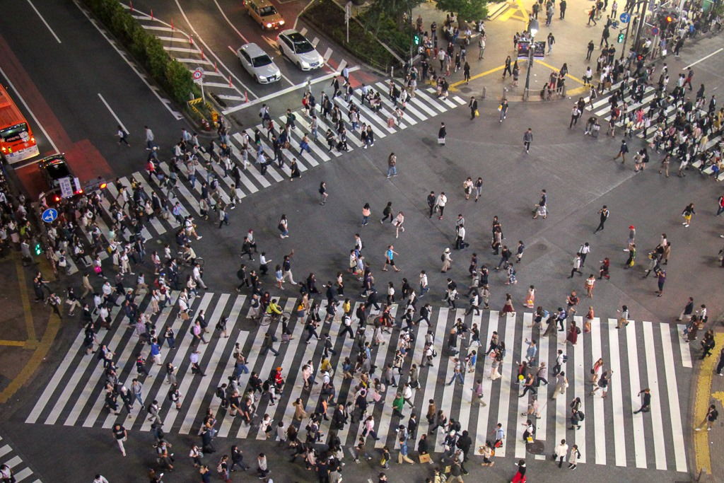 View of Shibuya Crossing from Mags Park in Tokyo, Japan