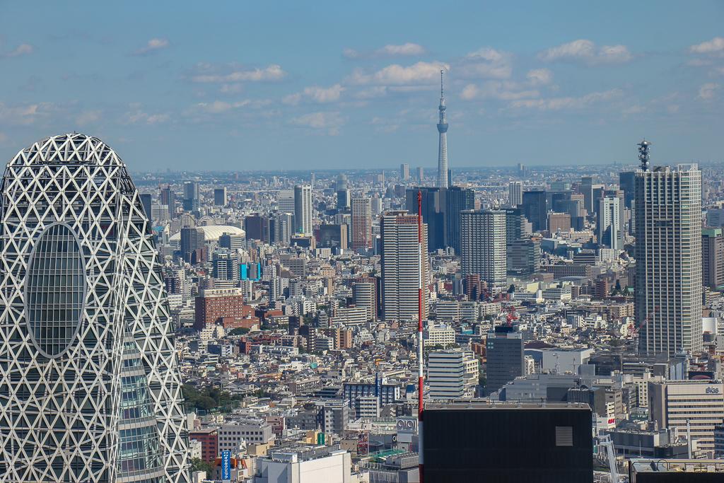 Skyline views from Tokyo Metropolitan Government Building in Tokyo, Japan