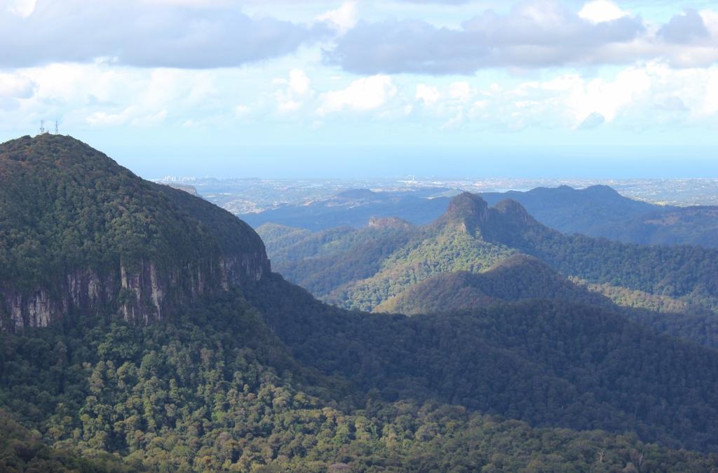 Best Of All Lookout Springbrook Walking Trail, Australia