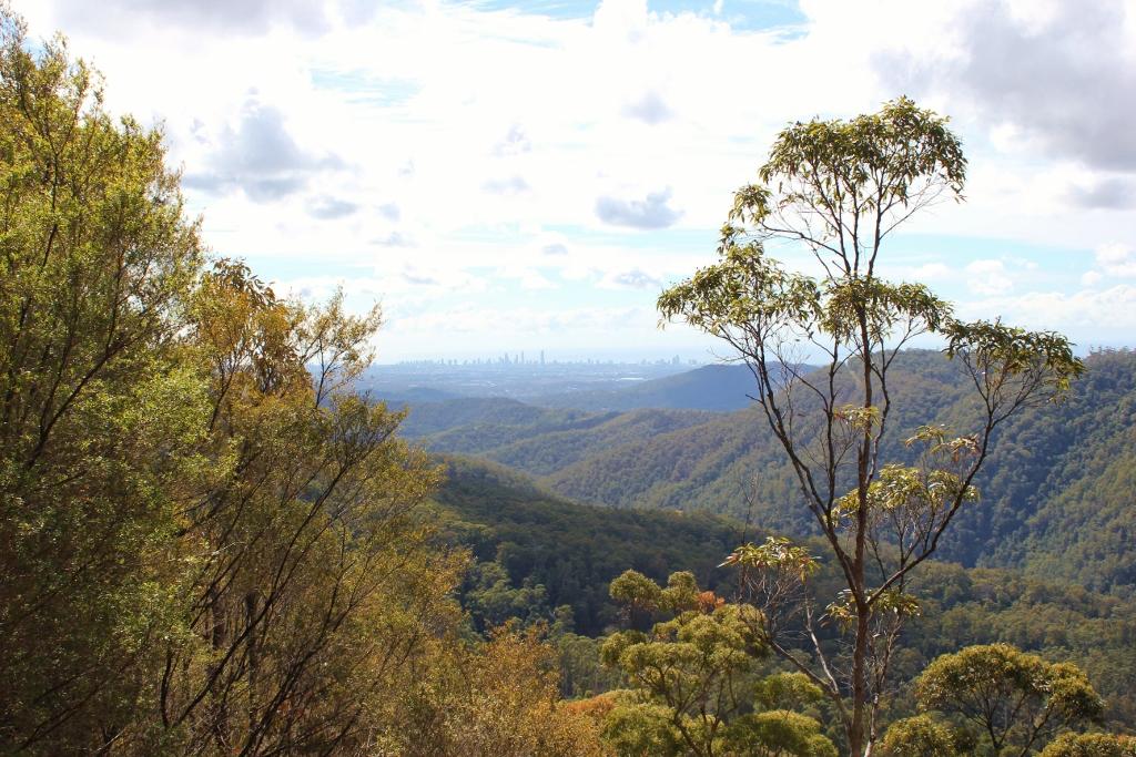 View from Wunburra, Springbrook, Australia