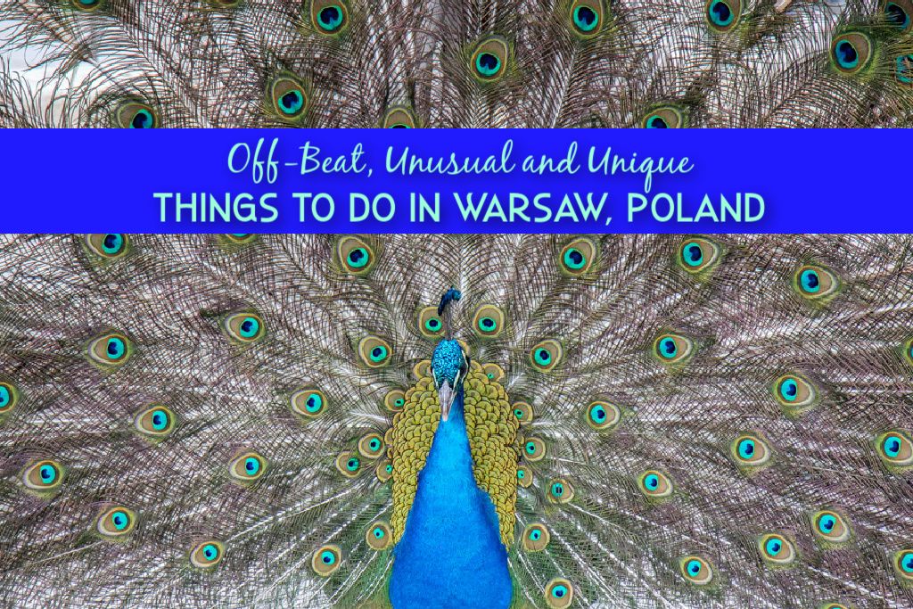Off-Beat, Unusual and Unique Things To Do in Warsaw, Poland - Jetsetting Fools Europe Travel Guides